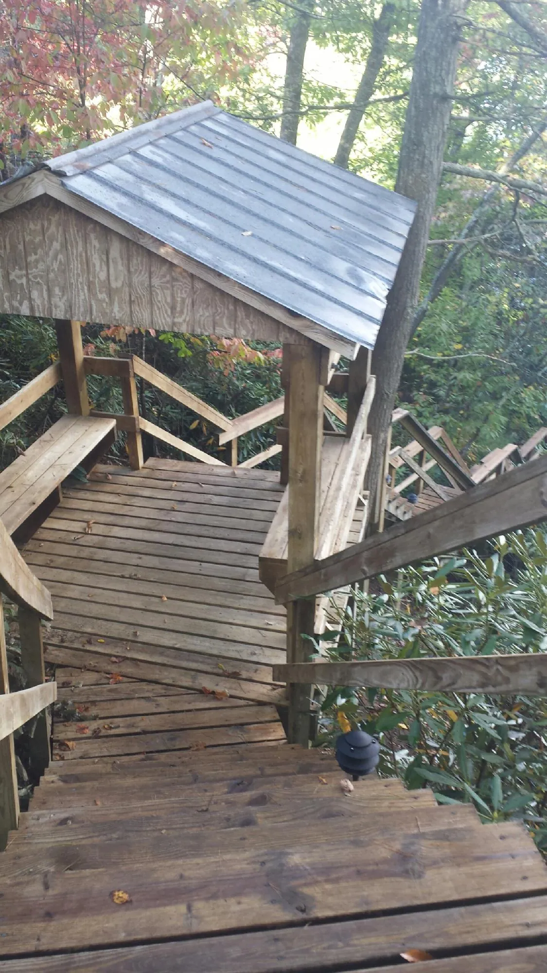 Metal roofed shelter over wooden steps on a wooded walkway — Skylight Repair & Installation work by our crew in Pierz