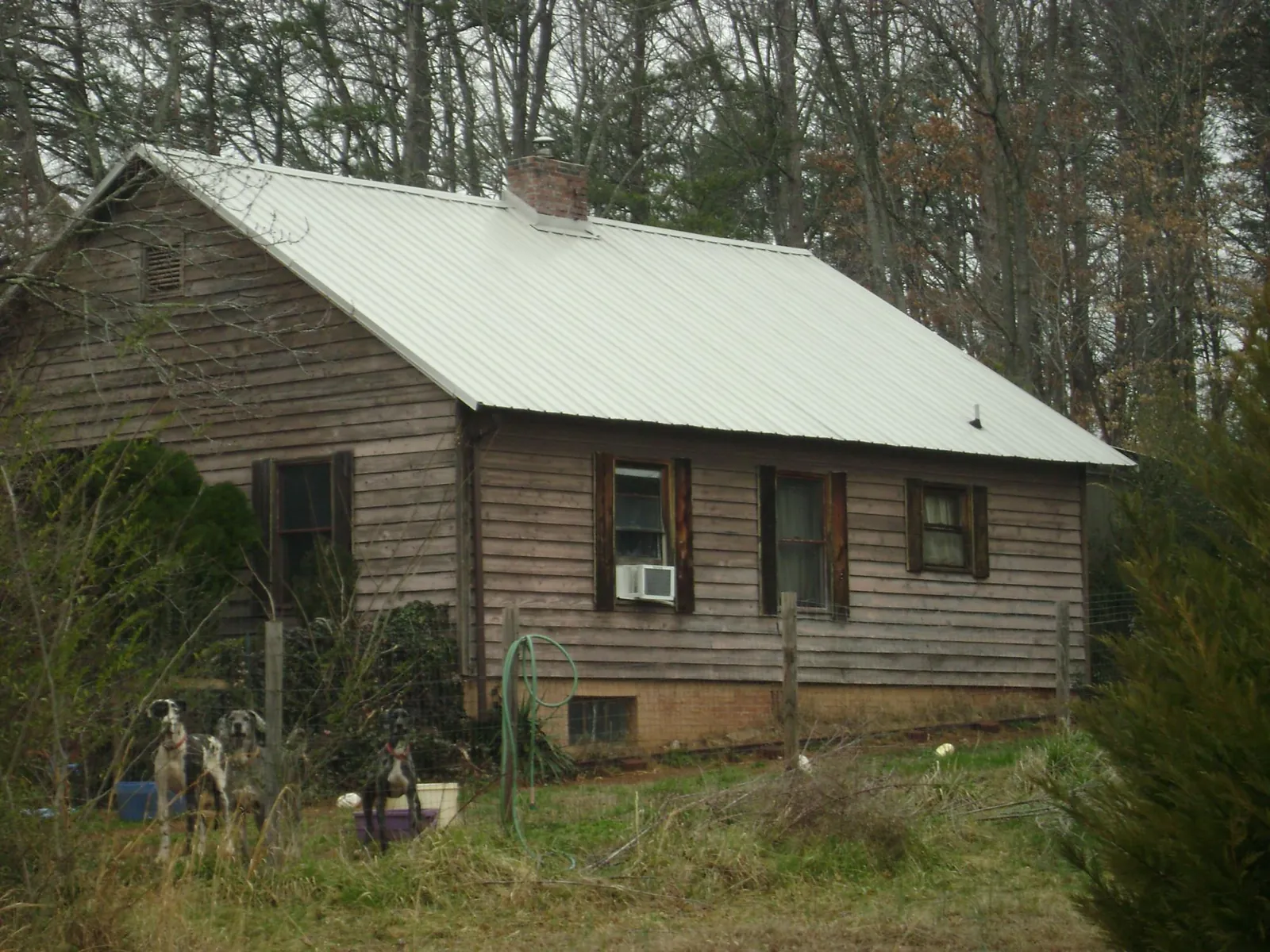 White metal roof on an old wood sided farmhouse, from a Asphalt Shingle Roof Repair job in Pierz